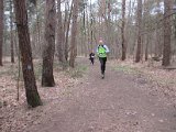Bosloop Brecht - 12.jpg